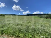 Teren intravilan in suparafat de 19213 mp, zona Valea Mitii
