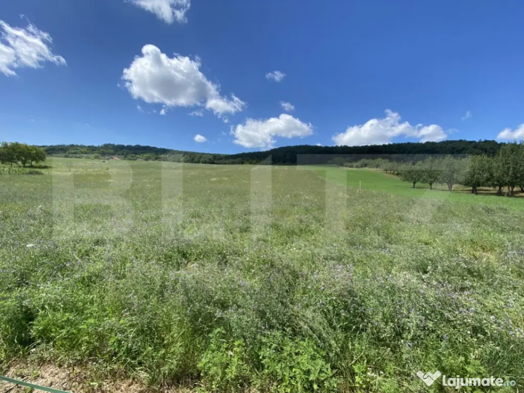 Teren intravilan in suparafat de 19213 mp, zona Valea Mitii