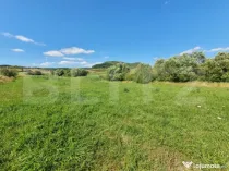 Teren extravilan, 31 de ari in Livezile