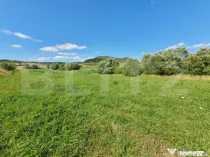 Teren extravilan, 31 de ari in Livezile