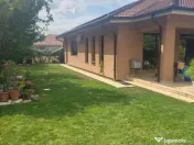 Vila P, Cantemir-Nufarul, SC 185, gaz , contr 2017, ter 700 