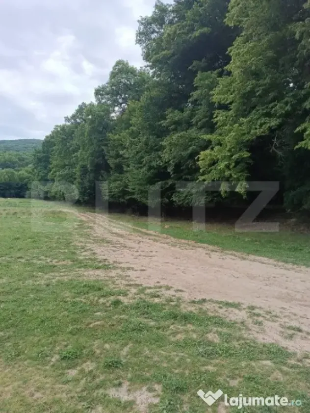 Teren pentru cabana /pensiune locatia perfecta pentru relaxa