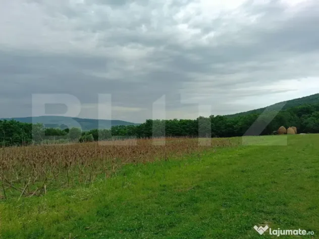 Teren pentru cabana /pensiune locatia perfecta pentru relaxa