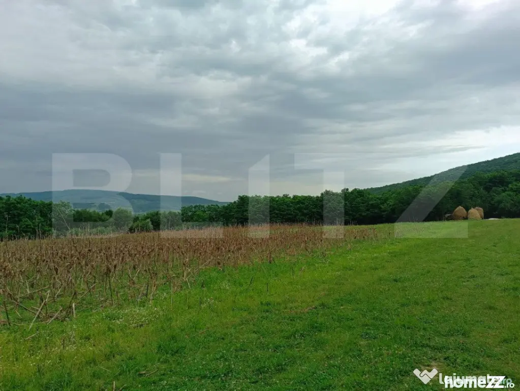 Teren pentru cabana /pensiune locatia perfecta pentru relaxa - Dej (Cluj)