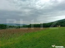 Teren pentru cabana /pensiune locatia perfecta pentru relaxa