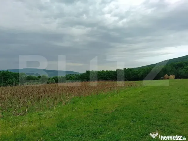 Teren pentru cabana /pensiune locatia perfecta pentru relaxa - Dej (Cluj)