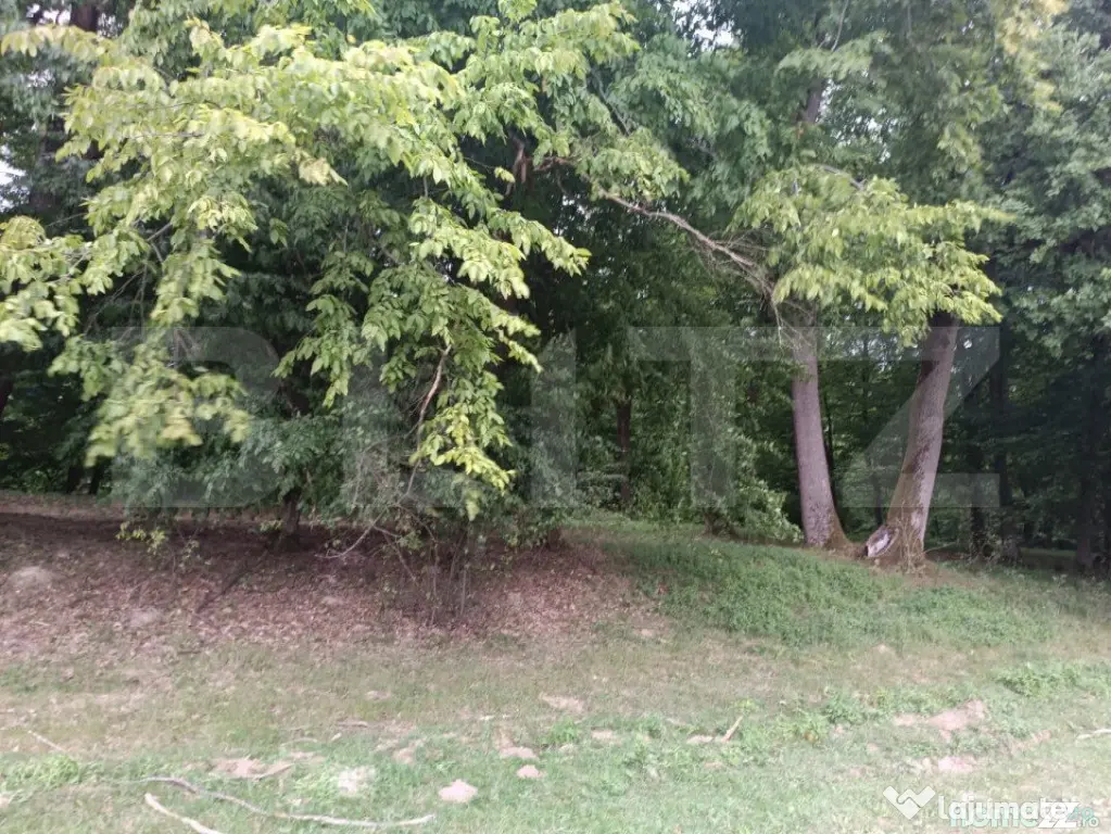 Teren pentru cabana /pensiune locatia perfecta pentru relaxa - Dej (Cluj)