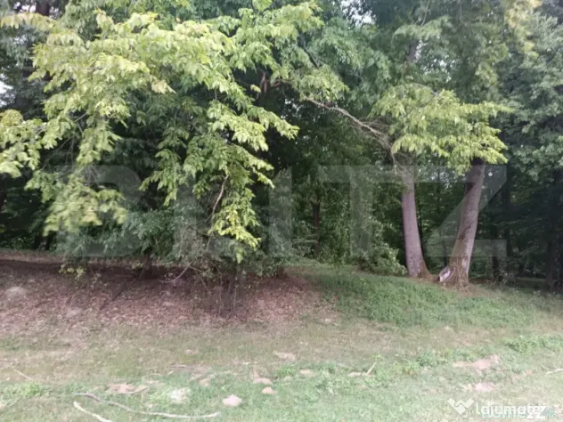 Teren pentru cabana /pensiune locatia perfecta pentru relaxa - Dej (Cluj)
