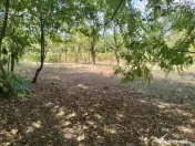 Teren 4975 mp situat in intravilanul satului Belciug, Dragan 