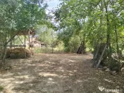 Teren 4975 mp situat in intravilanul satului Belciug, Dragan 