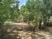 Teren 4975 mp situat in intravilanul satului Belciug, Dragan 