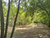 Teren 4975 mp situat in intravilanul satului Belciug, Dragan 