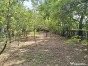 Teren 4975 mp situat in intravilanul satului Belciug, Dragan 