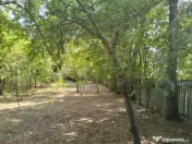 Teren 4975 mp situat in intravilanul satului Belciug, Dragan 