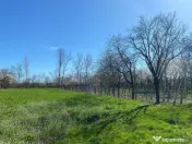 Teren 4975 mp situat in intravilanul satului Belciug, Dragan 