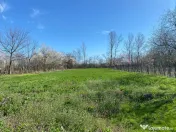 Teren 4975 mp situat in intravilanul satului Belciug, Dragan 