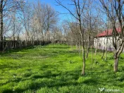 Teren 4975 mp situat in intravilanul satului Belciug, Dragan 