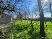 Teren 4975 mp situat in intravilanul satului Belciug, Dragan 