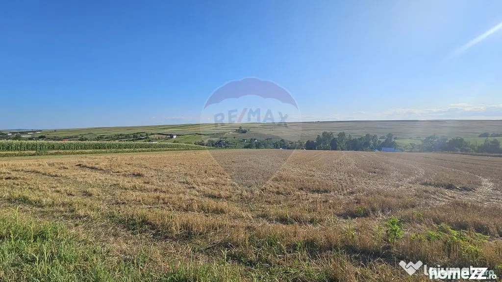 Teren intravilan, 7500 mp in Moara Carp / Strada Eternita...