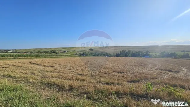 Teren intravilan, 7500 mp in Moara Carp / Strada Eternita...