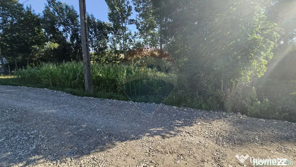Teren intravilan, 7500 mp in Moara Carp / Strada Eternita...