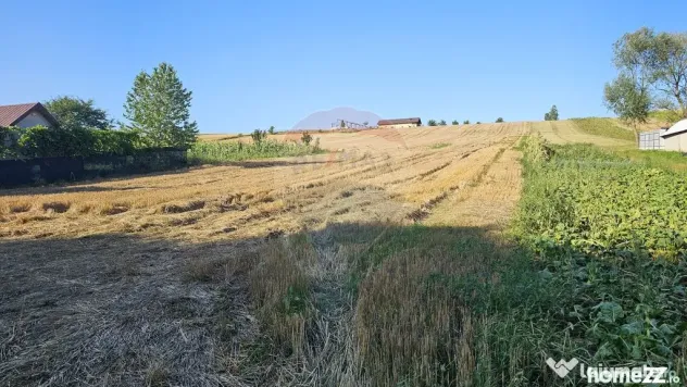 Teren intravilan, 7500 mp in Moara Carp / Strada Eternita...