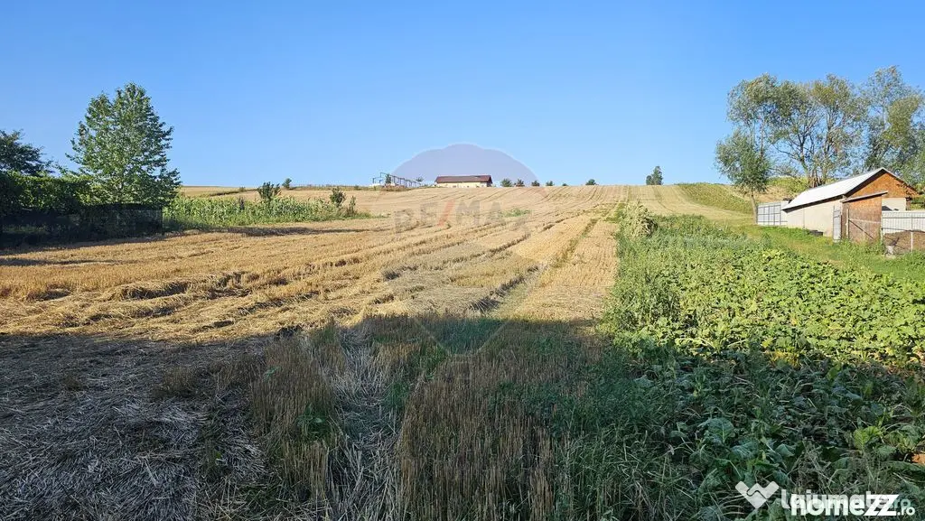 Teren intravilan, 7500 mp in Moara Carp / Strada Eternita...