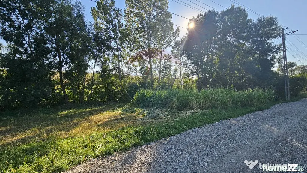 Teren intravilan, 7500 mp in Moara Carp / Strada Eternita...