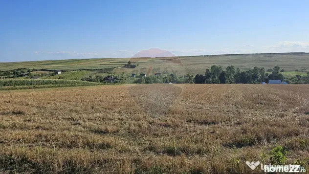 Teren intravilan, 7500 mp in Moara Carp / Strada Eternita...
