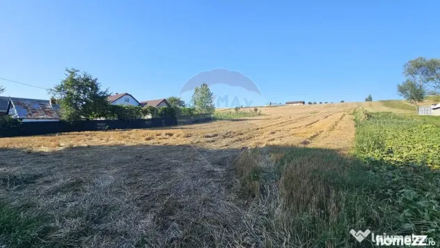 Teren intravilan, 7500 mp in Moara Carp / Strada Eternita...