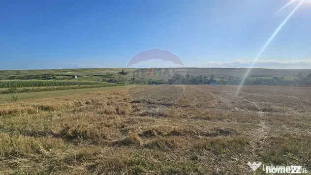 Teren intravilan, 7500 mp in Moara Carp / Strada Eternita...
