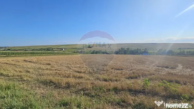 Teren intravilan, 7500 mp in Moara Carp / Strada Eternita...