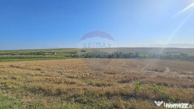 Teren intravilan, 7500 mp in Moara Carp / Strada Eternita...