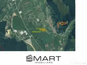 Teren extravilan 5500 mp, la padure zona Selimbar (Mohu) 