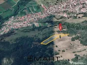 Teren extravilan 5500 mp, la padure zona Selimbar (Mohu) 