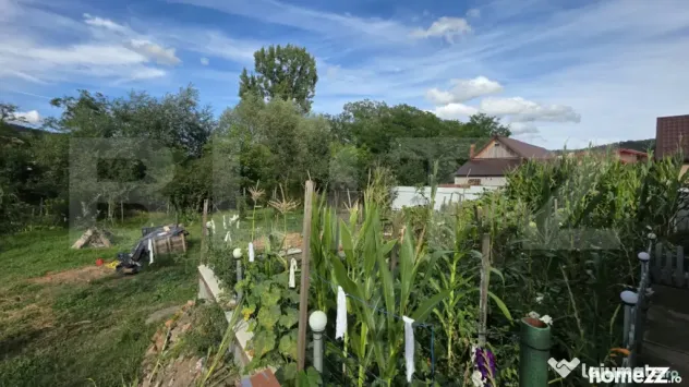 Casa de Vanzare in Teaca de 3 camere cu 11 arii teren - Bistrita (Bistrita-Nasaud)