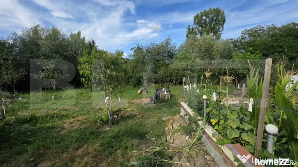 Casa de Vanzare in Teaca de 3 camere cu 11 arii teren - Bistrita (Bistrita-Nasaud)