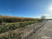 C/1508 De vânzare teren în Mureș - Sântana de Mureș