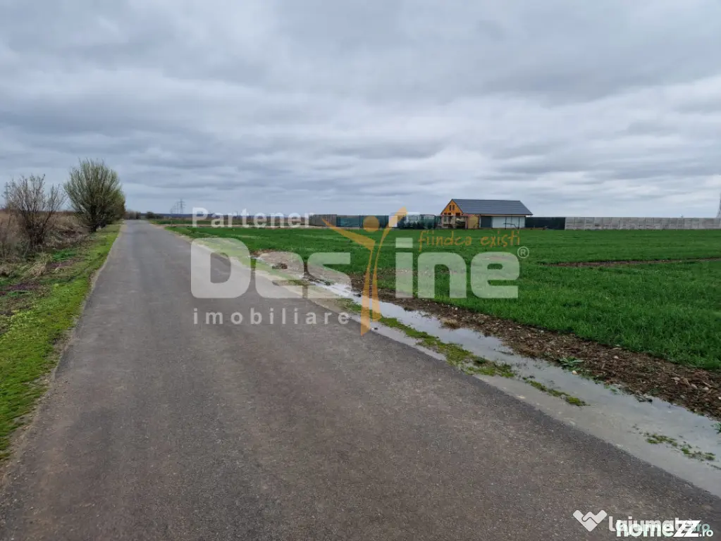 TEREN DE VANZARE DRAGOMIRESTI VALE