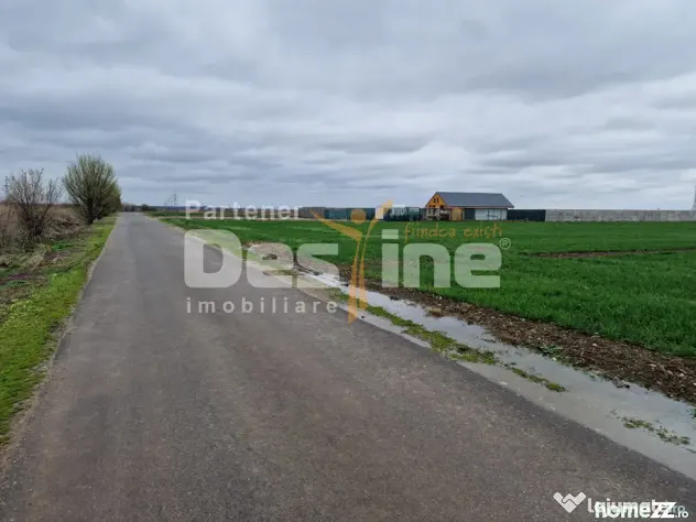 TEREN DE VANZARE DRAGOMIRESTI VALE