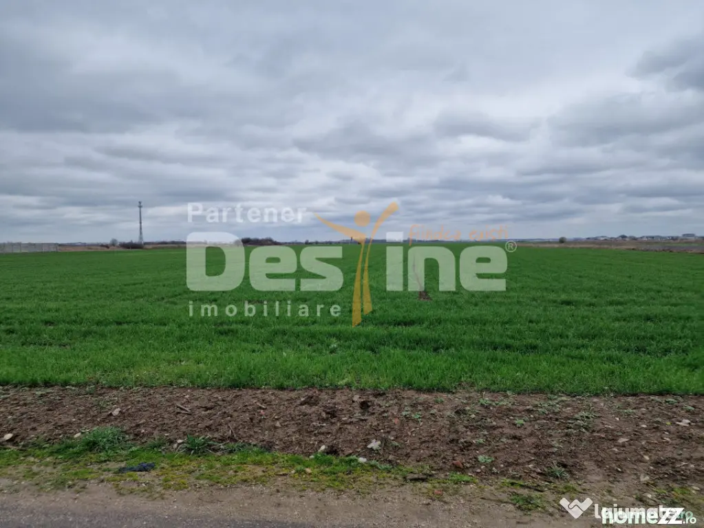 TEREN DE VANZARE DRAGOMIRESTI VALE