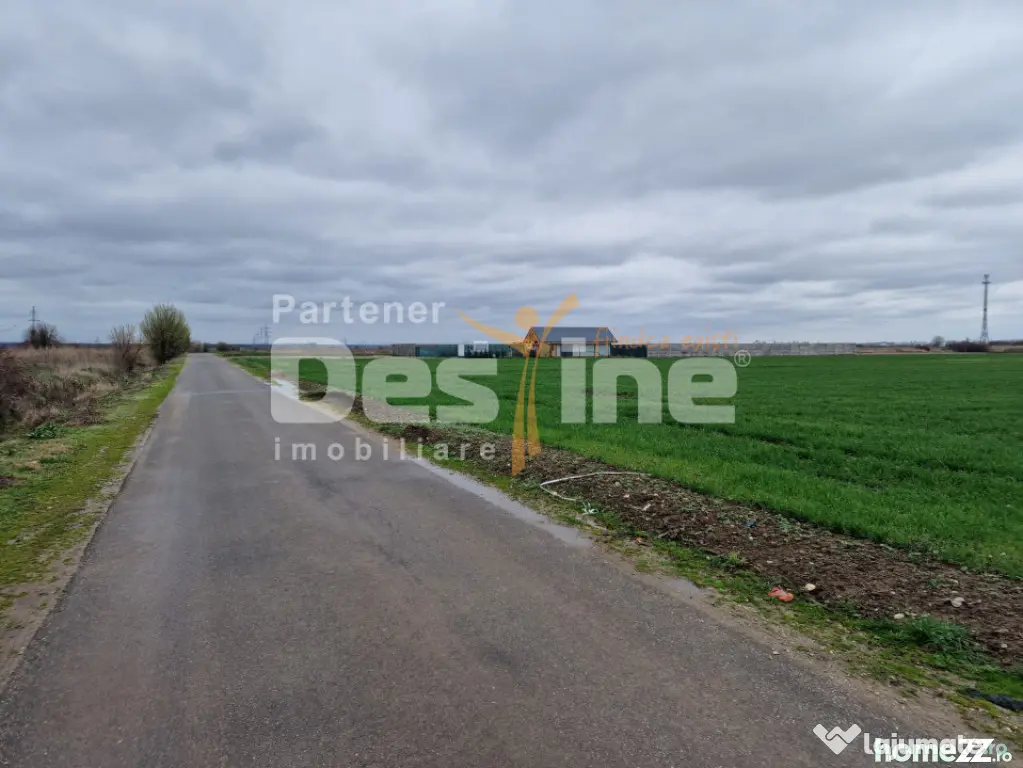 TEREN DE VANZARE DRAGOMIRESTI VALE