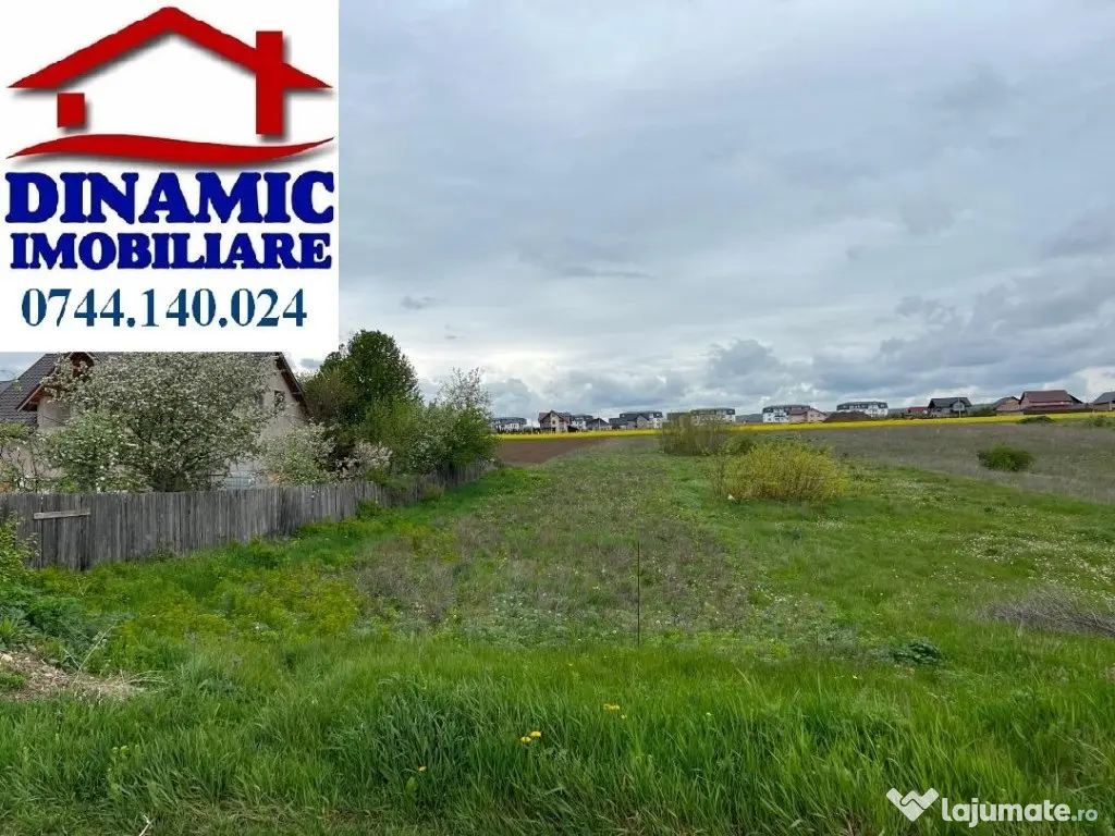 Teren 5000 mp zona Fermelor, str. Plantelor