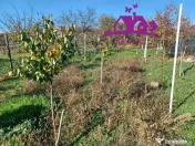 Casa la curte comuna in localitatea Nojorid 