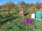 Casa la curte comuna in localitatea Nojorid 