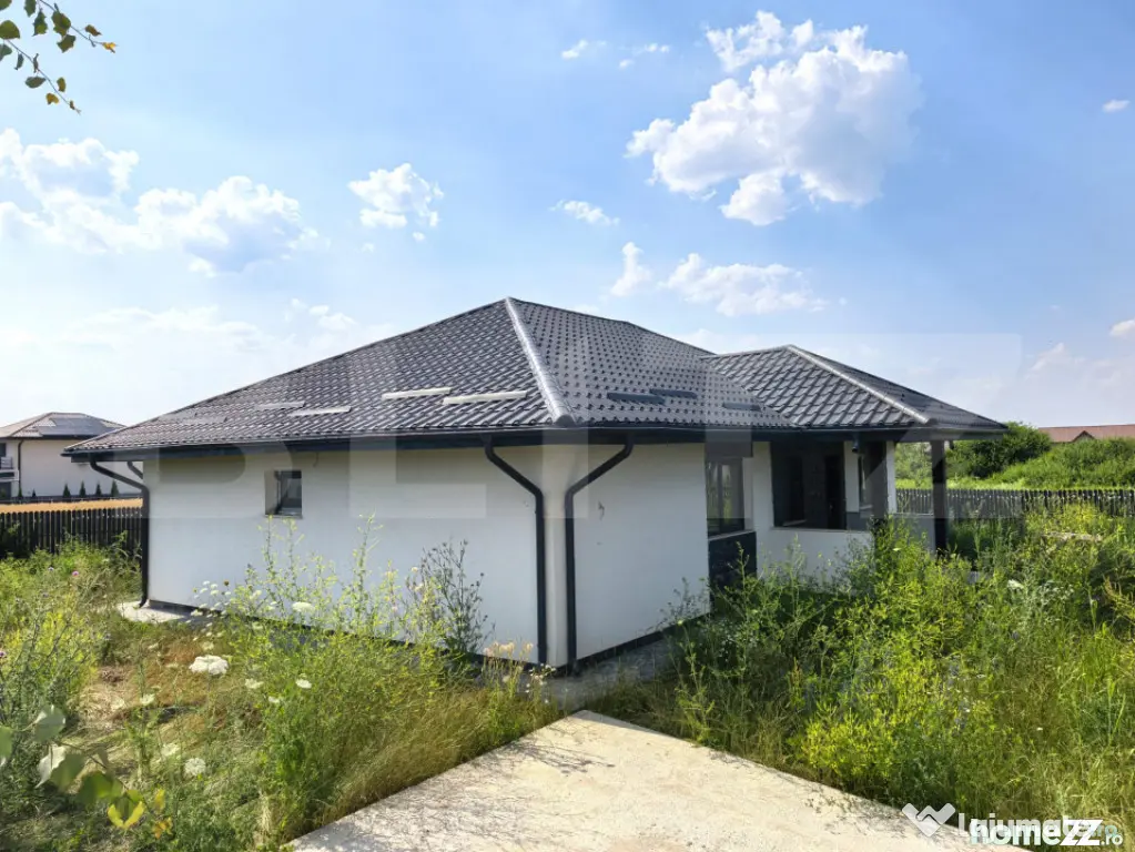 Casa Plan Parter 4 camere, 100 mp, 500 mp teren Vorovesti