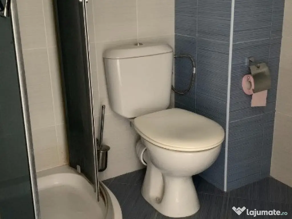 Apartament de vanzare Elisabetin