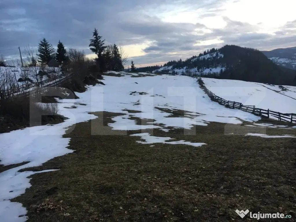 Teren de vanzare, Scarisoara, ideal pentru cabana