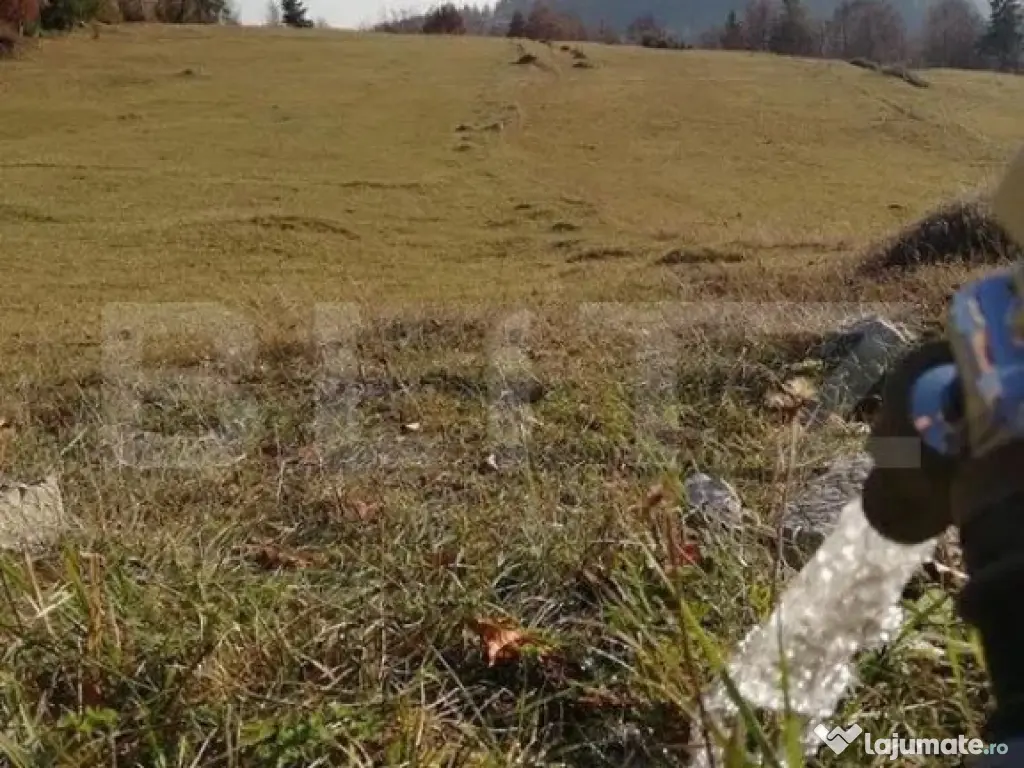 Teren de vanzare, Scarisoara, ideal pentru cabana