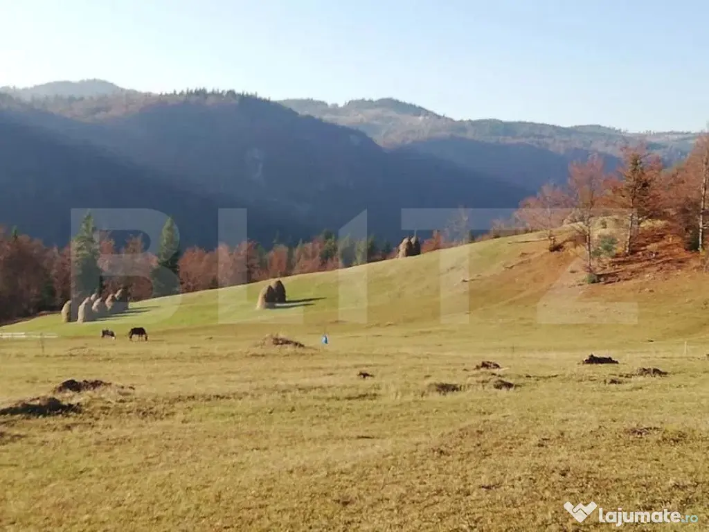 Teren de vanzare, Scarisoara, ideal pentru cabana